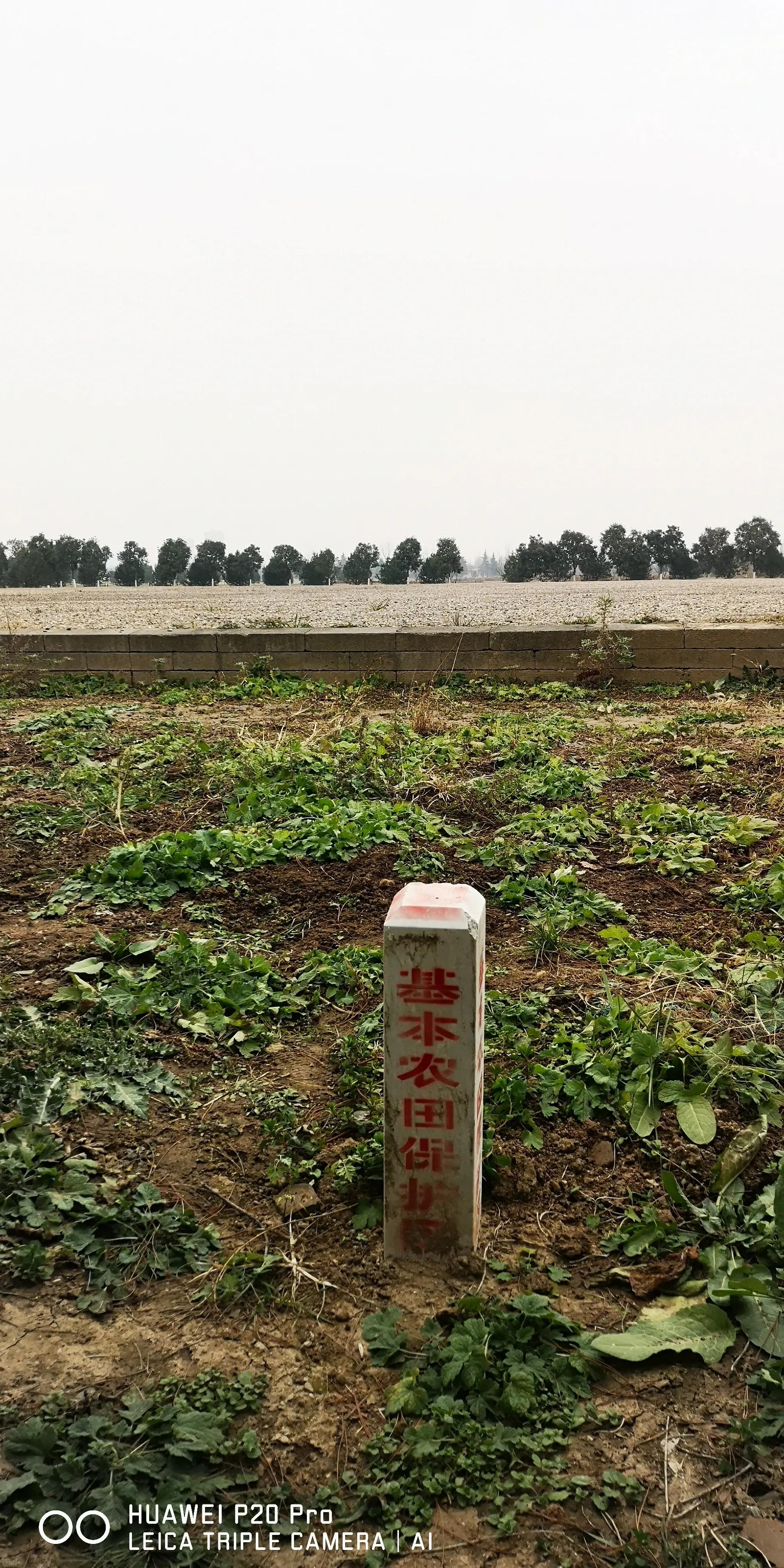 西安未央宫国家遗址公园门票,西安未央区哪里好玩不收门票