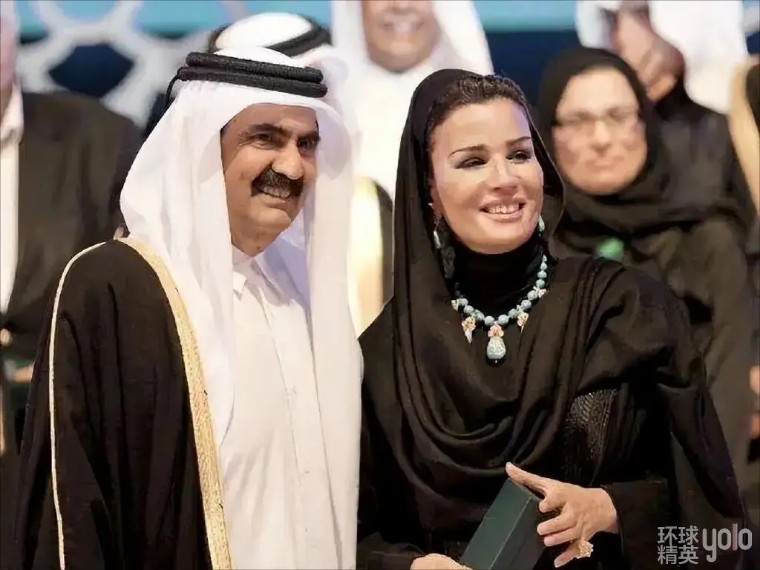 卡塔尔新任埃米尔塔米姆,卡塔尔埃米尔塔米姆资料