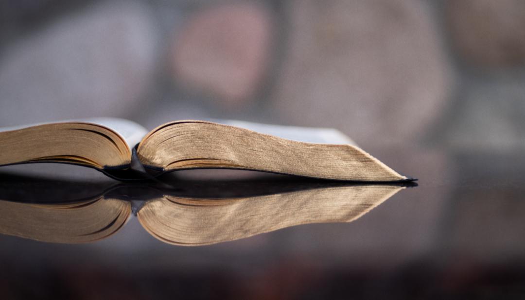 2023暑假生活指南(学生篇)