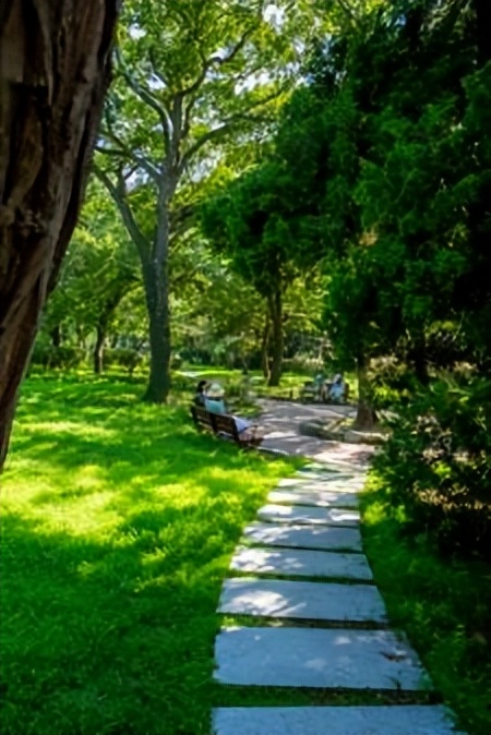 康养健康产业是否大势所趋,康养产业与产业融合最终结果