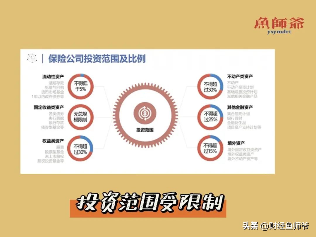 保险公司故事分享,保险公司的成长经历和感悟