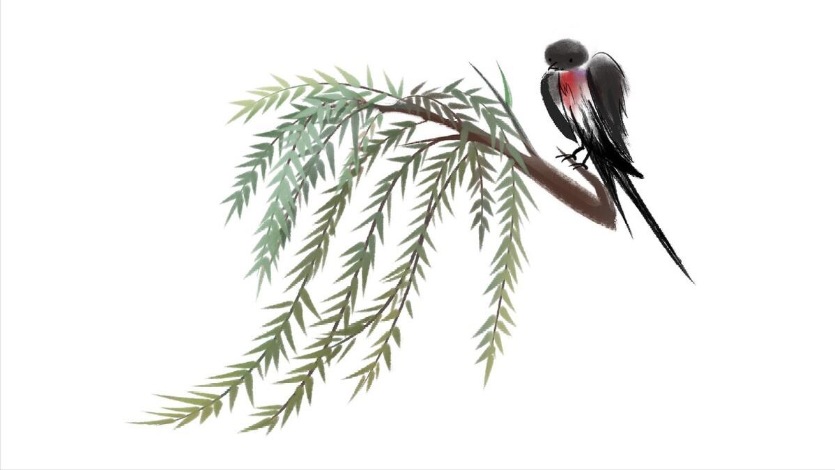 8首唯美的燕子诗词，莺莺燕燕春春，花花柳柳真真