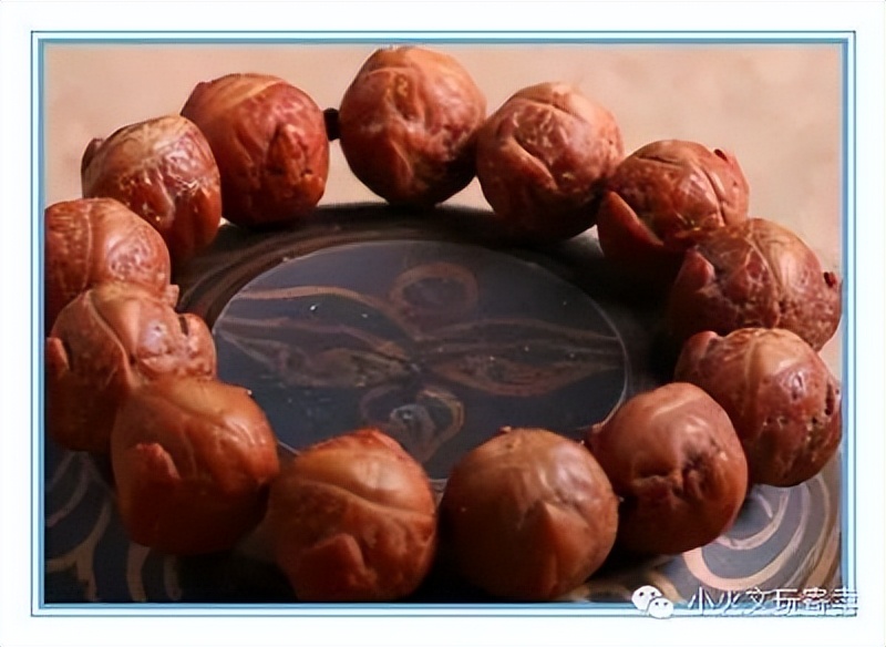 凤眼菩提最好的盘玩方法,多大的凤眼菩提最好