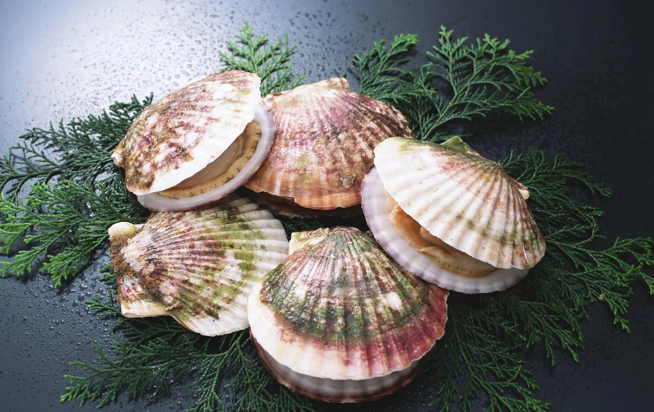 如何挑选冰冻好的小海鲜,最实用的各种海鲜做法都在这里啦