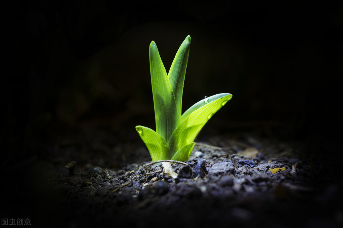 庄子所参透的生命真相,庄子为什么说死和生一样
