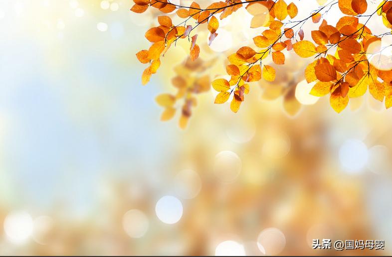 善于自我关怀的人,自我关怀让生命强大的必经之路