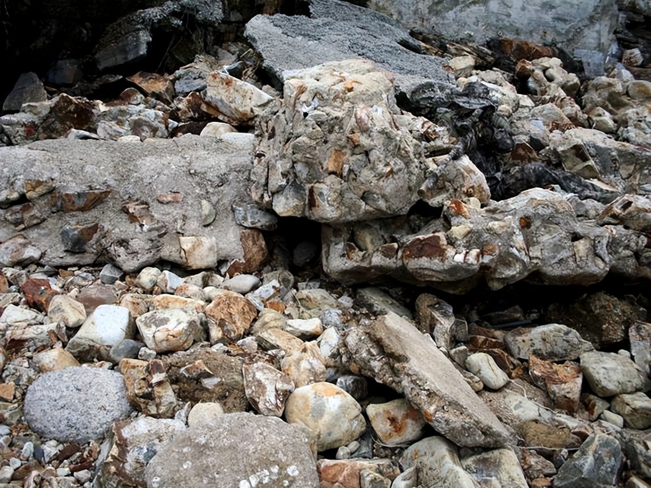 梦露惊艳写真图,女神梦露写真