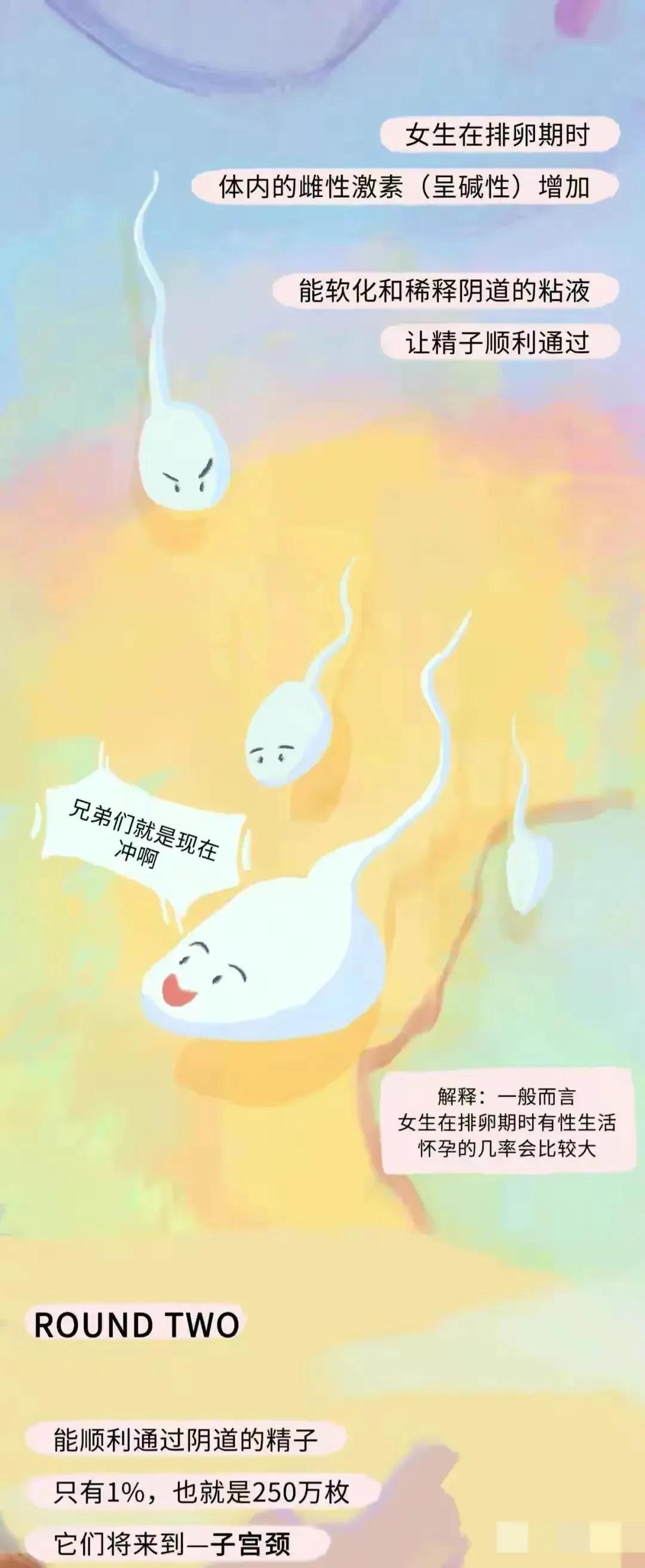 如何怀孕具体步骤图片,怎样才会怀孕简单的图片