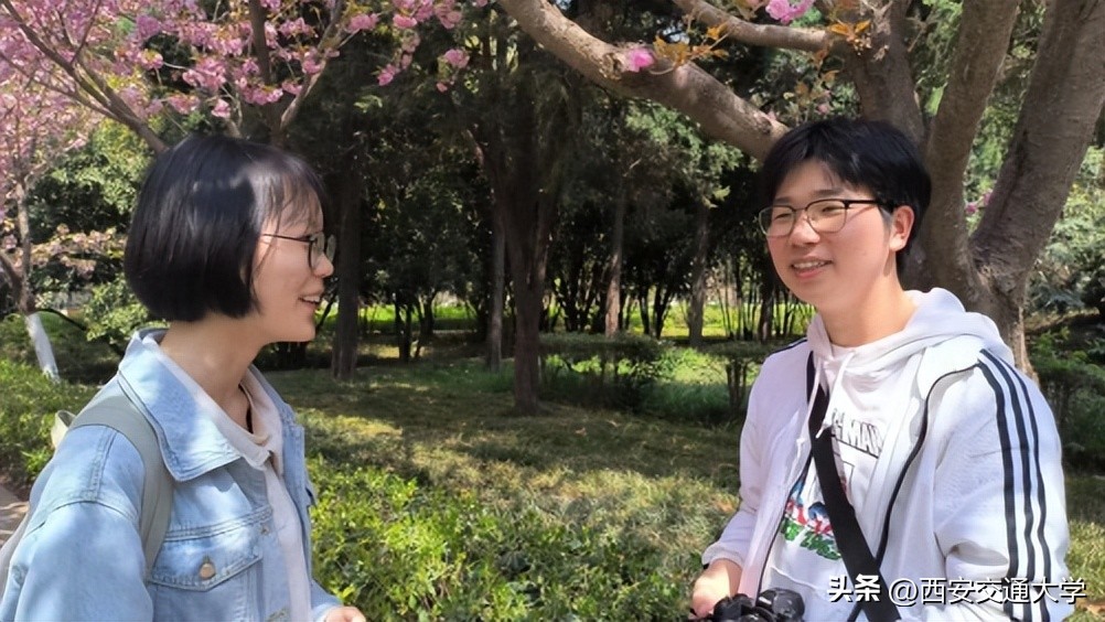 “春见”仙交，樱寄情思