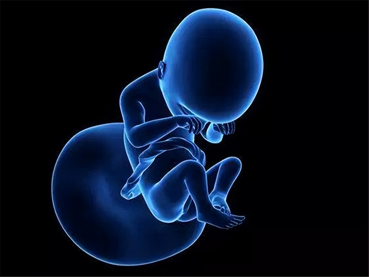 男方备孕二胎的备孕之路