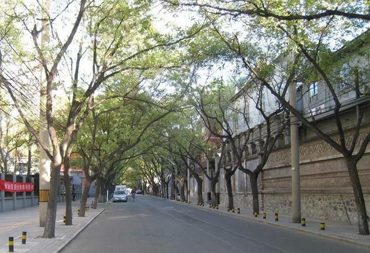 北京胡同游北京小众景点胡同探秘,北京必去十大胡同景点