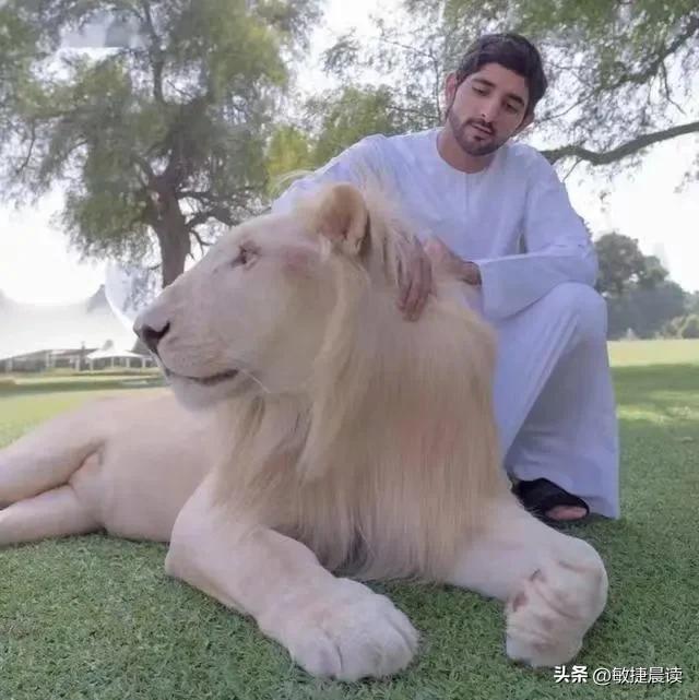 迪拜富人到底有多奢华,迪拜王子和世界首富到底谁更富