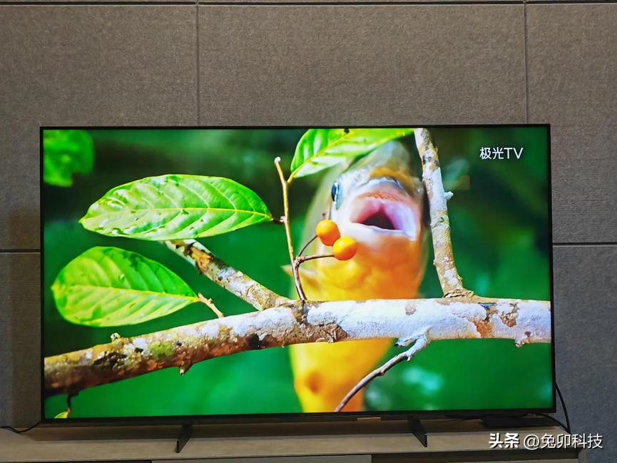 618最推荐购买的电视,618买什么电视机最划算