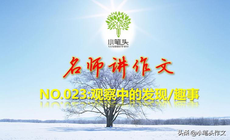 名师讲五年级下册第一单元作文,名师讲作文小学作文