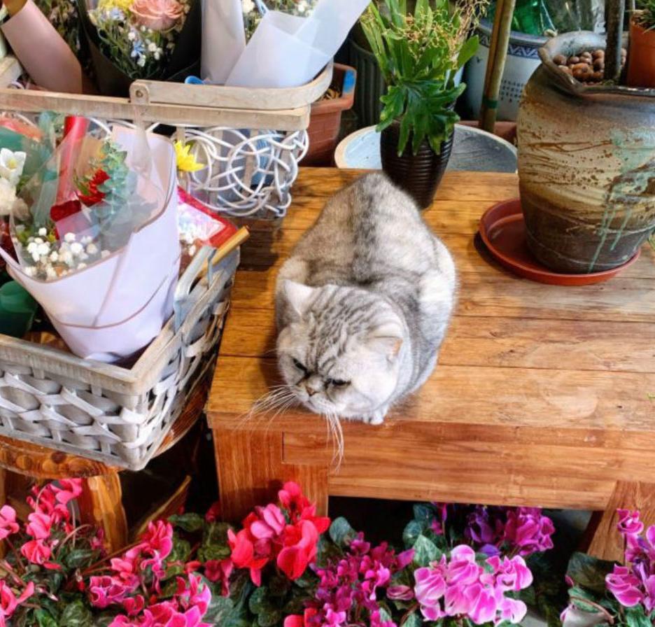 女神节将至这份礼包请收好,女神节优惠第一波来了快收好