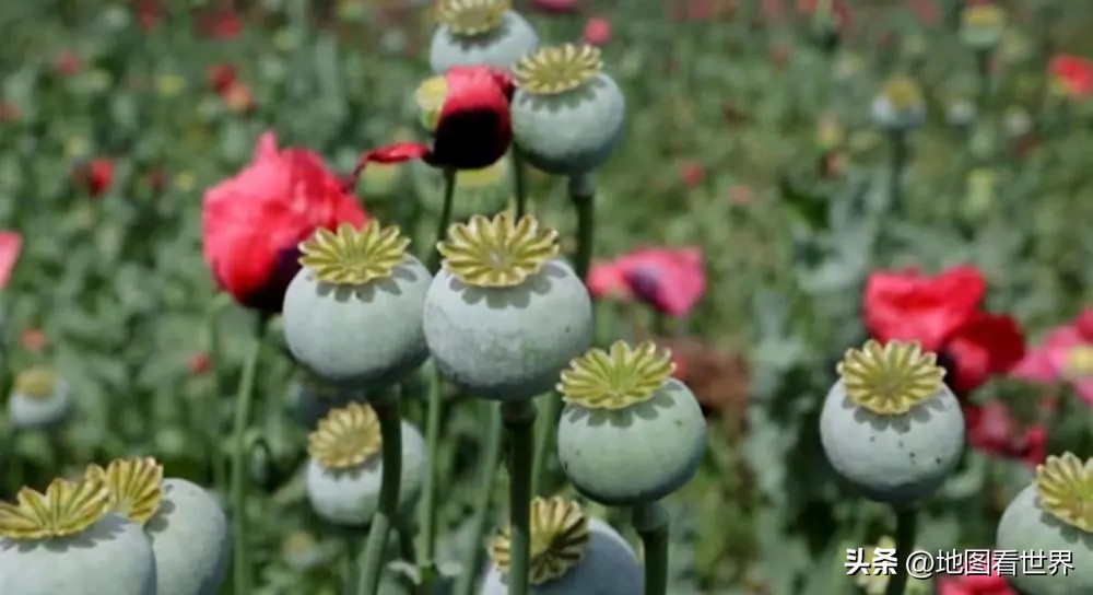 墨西哥是个怎样的国家,墨西哥是一个怎么样的国家