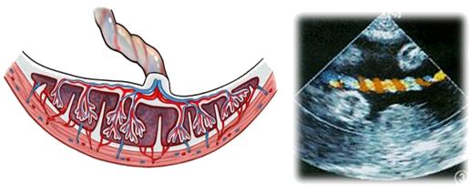 孕妈妈需要经历什么,从怀孕到生需要做多少次产检