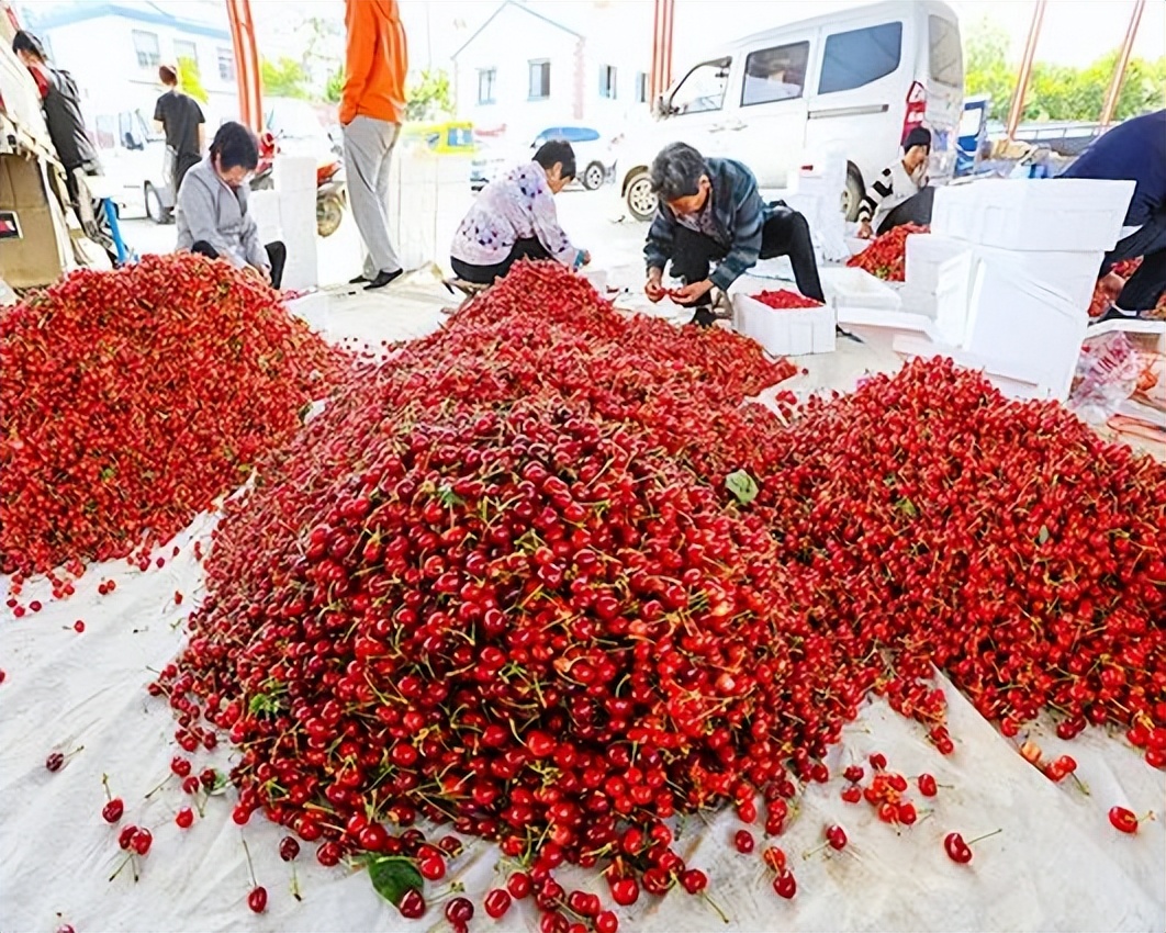 长寿区乡村振兴项目,十八洞村脱贫攻坚与乡村振兴