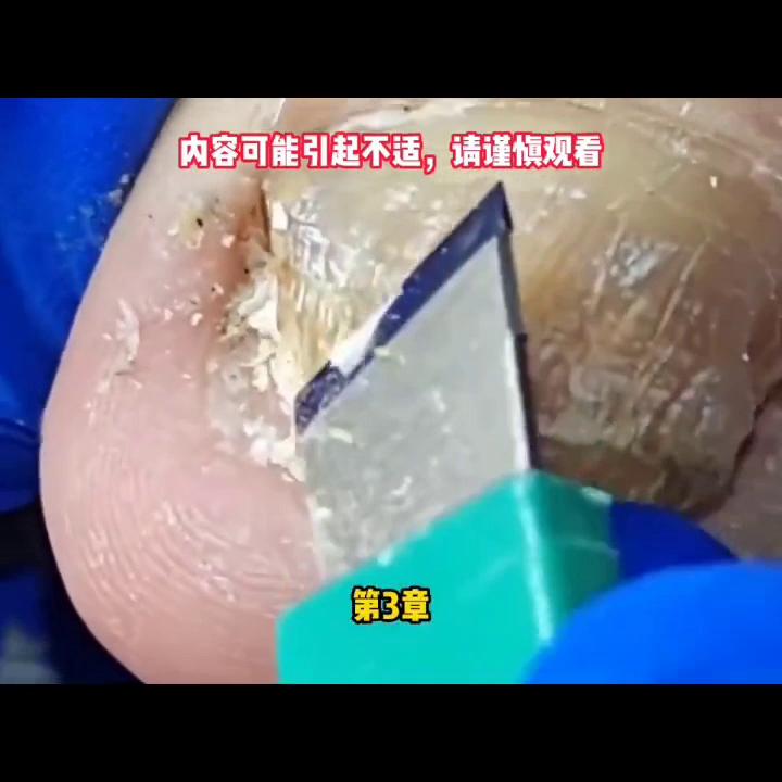姐姐到牢里告诉我，要和前夫结婚了，而我即将被……#解压