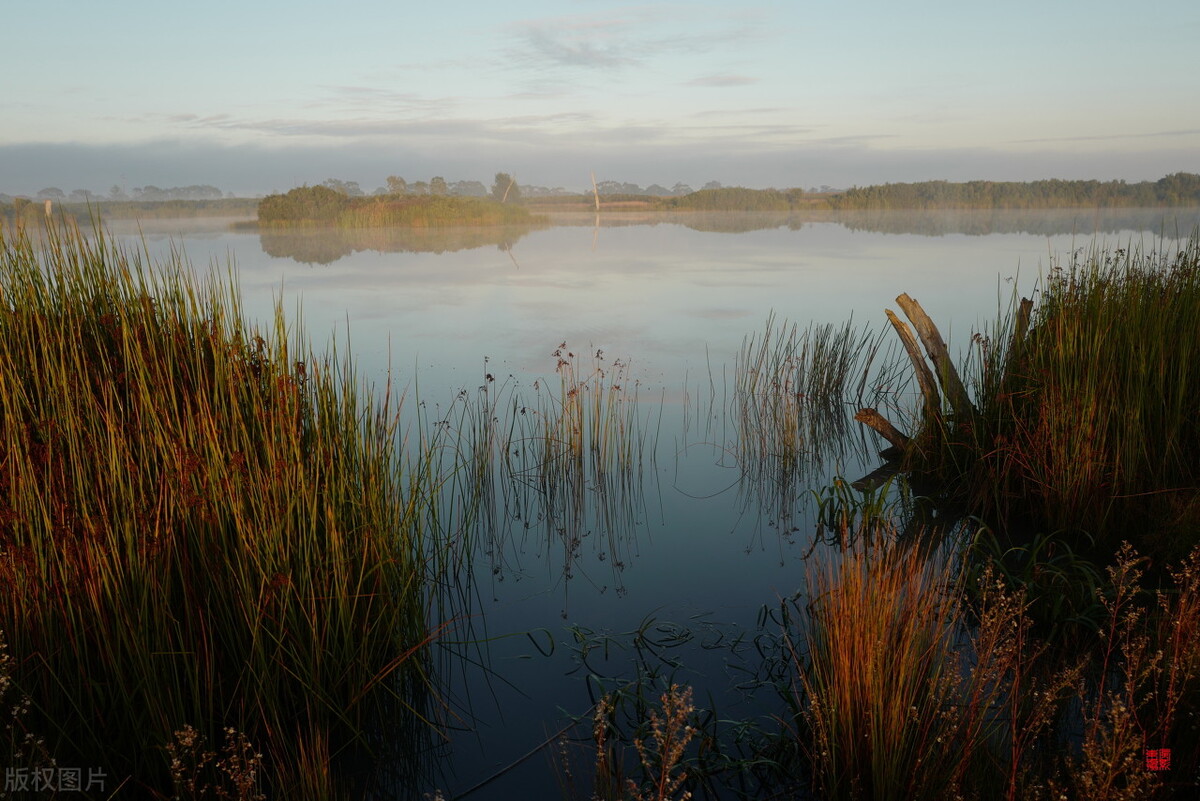 阿梅男人和店里的年轻女服务员小兰离开小镇时，不少人都说看到了