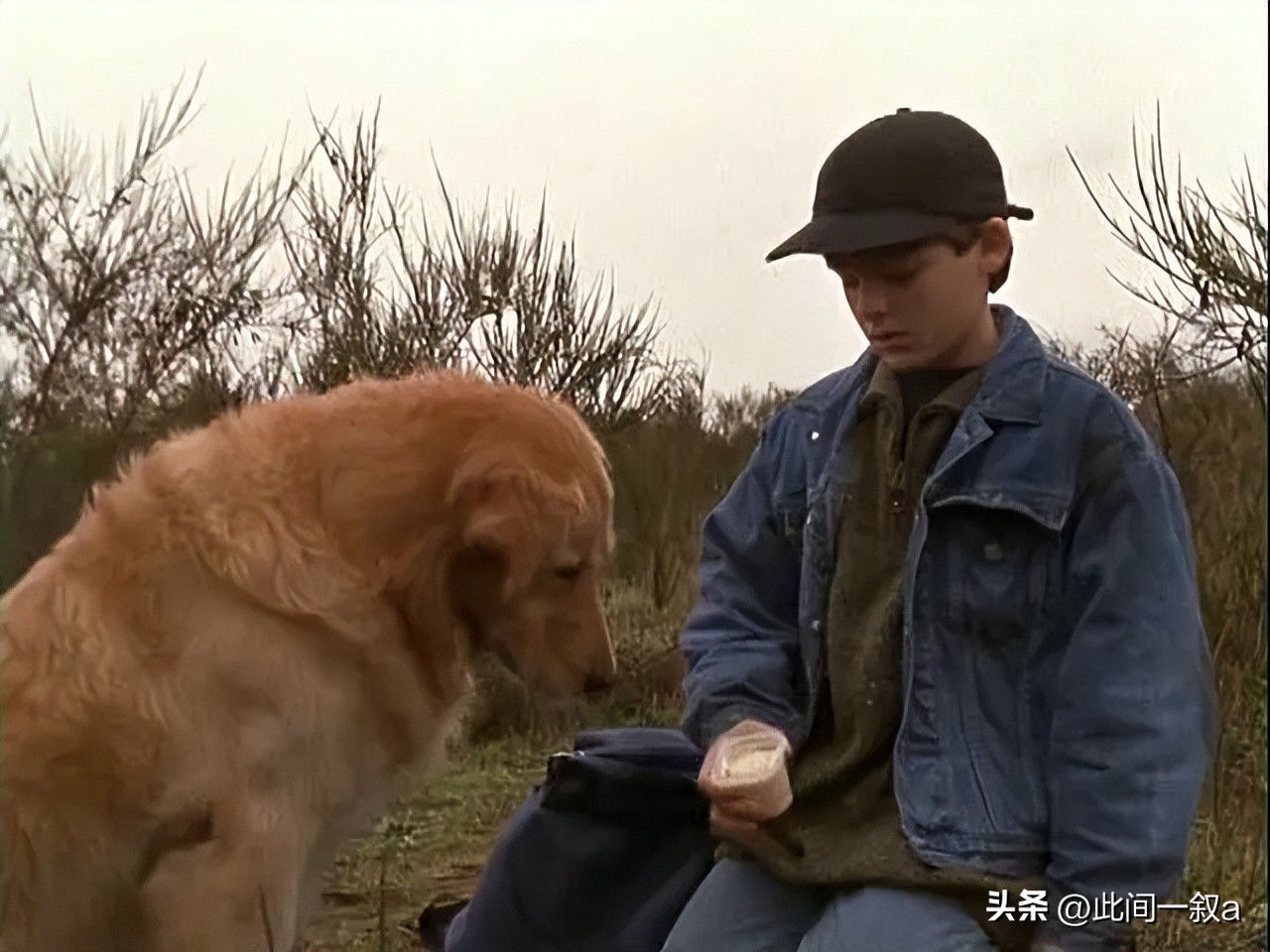 飞狗巴迪的知识,飞狗巴迪简介