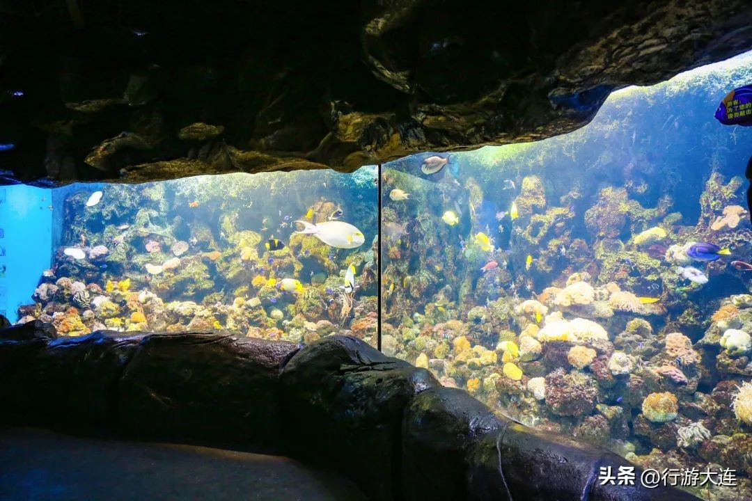 大连滨海路徒步最佳路线,大连滨海路徒步攻略