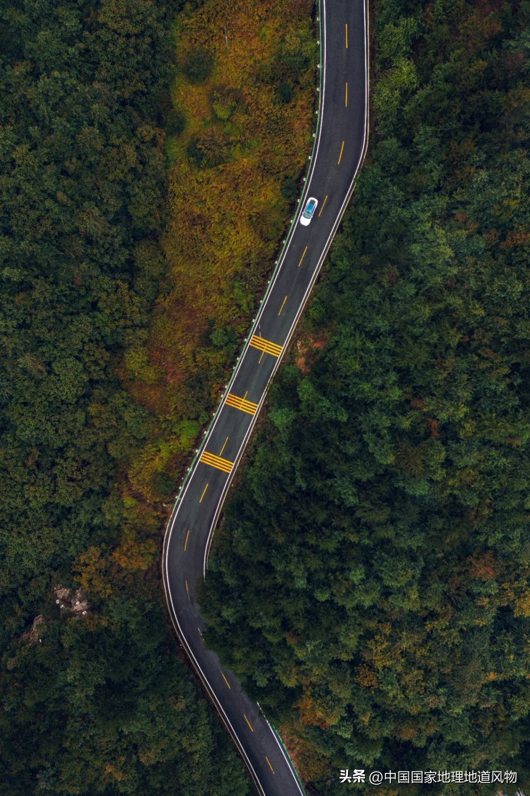 涓浗绉﹀箔绁炵鐗╃,鍙戠幇鐝嶇█鐗╃涓浗绉﹀箔