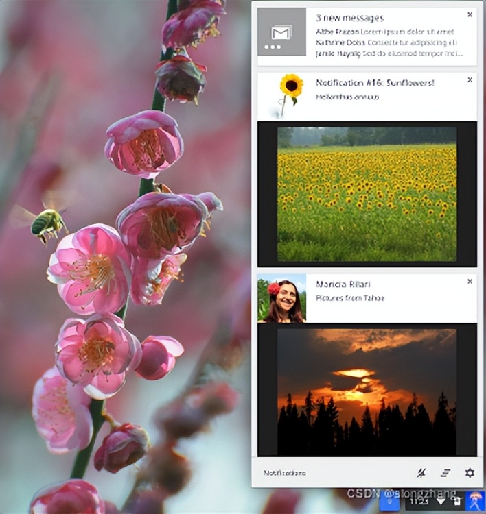 五款chrome神级插件推荐,chrome十大工具插件