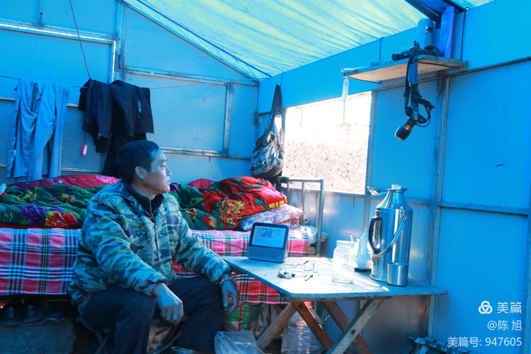 渑池孟村：油菜花儿香，蜜蜂采蜜忙