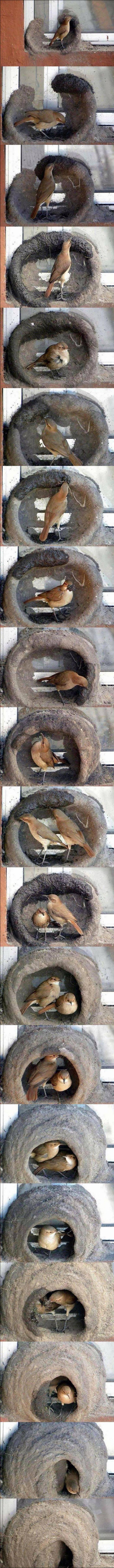 梦露惊艳写真图,女神梦露写真