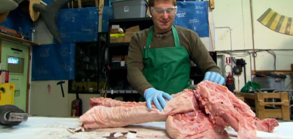 据说台风的时候，要把家里的窗户都打开，这样可以减小风的阻力