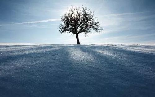 人生要想有所成就的话,人生想要成功有多难