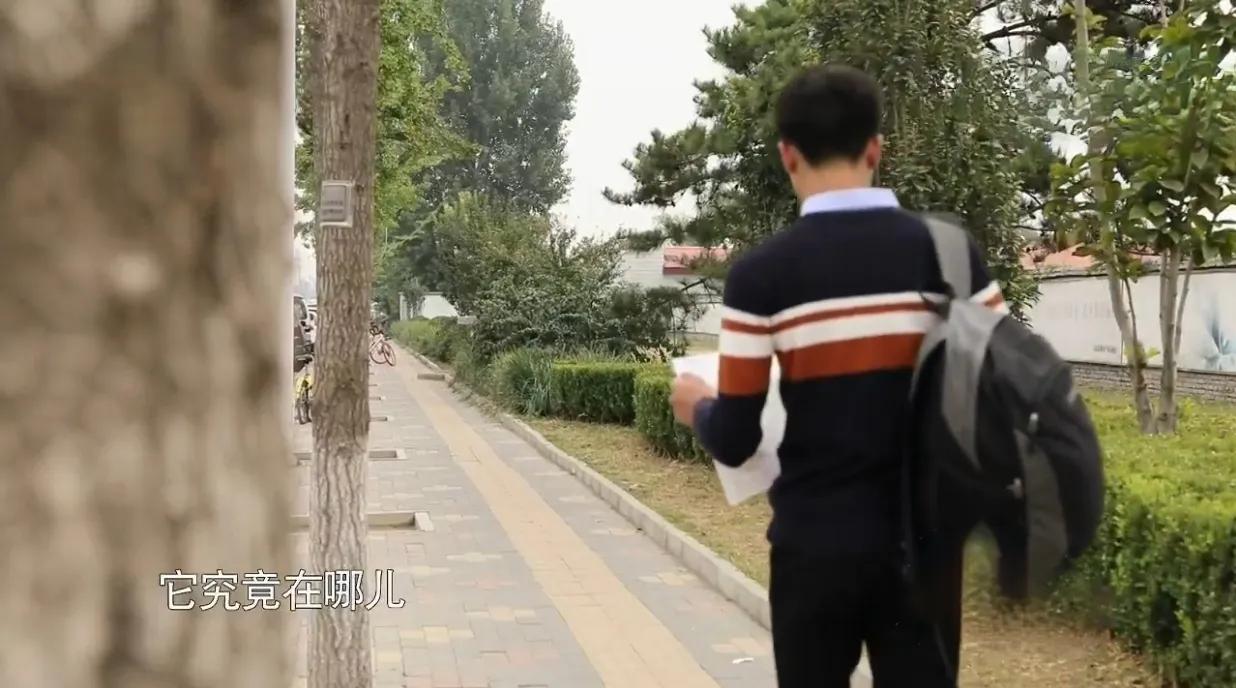 3岁男孩被拐29年后寻找无效后续,幼时被拐惨遭家暴