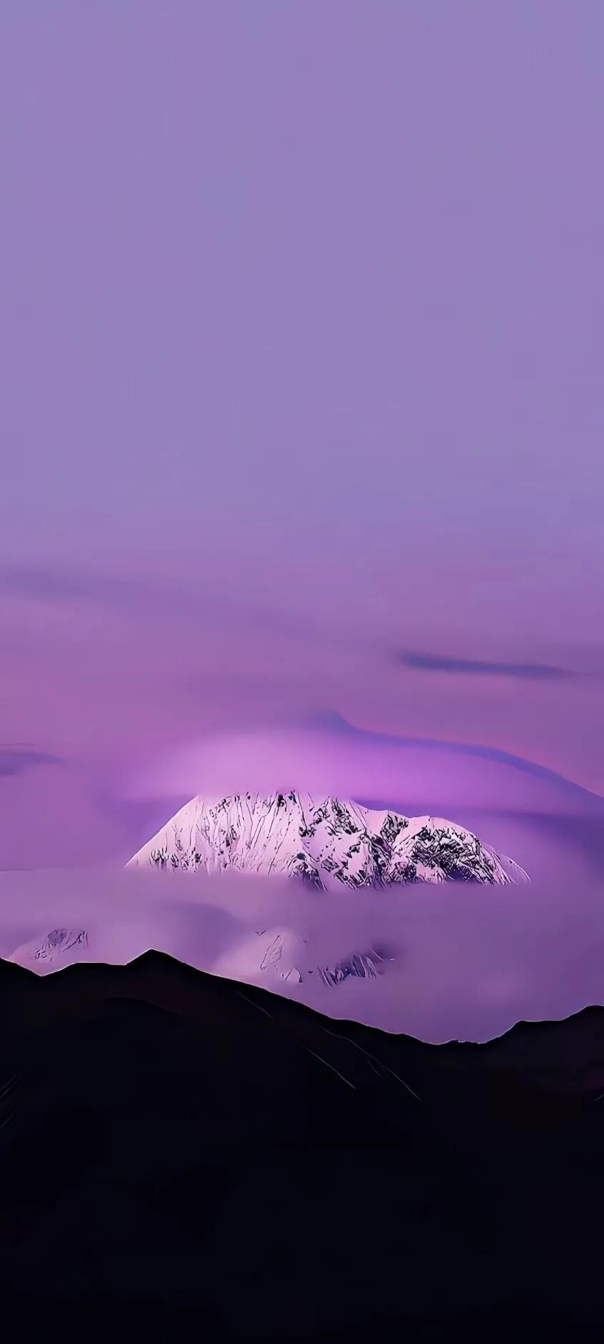 紫色异域风情古风,情调紫色