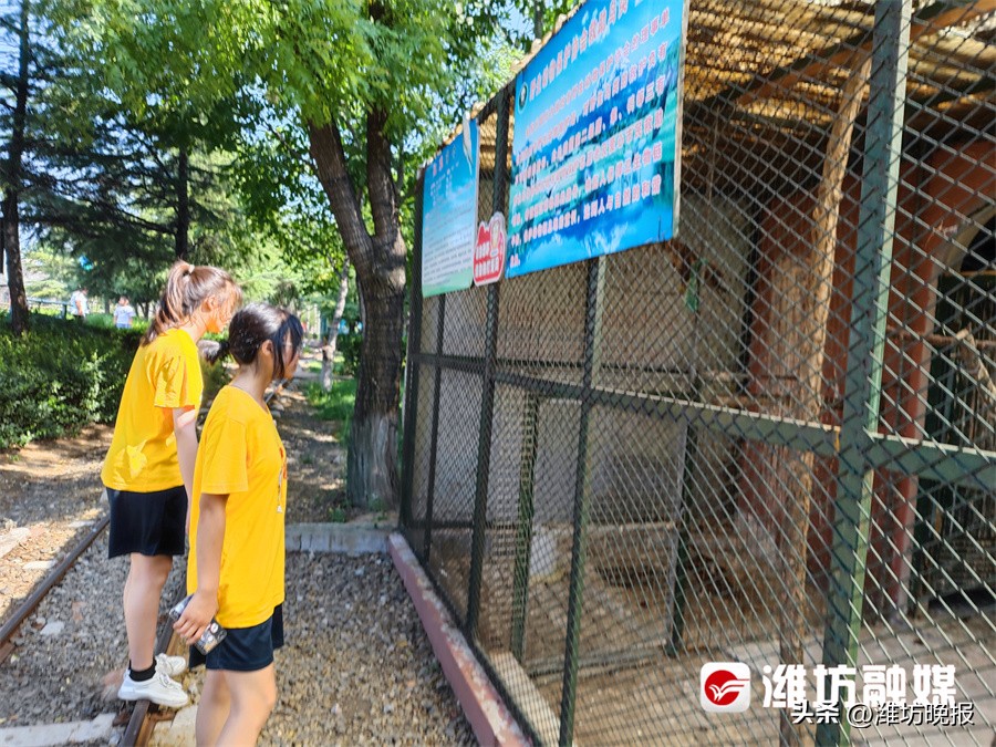 潍坊公益夏令营,潍坊市奎文区夏令营