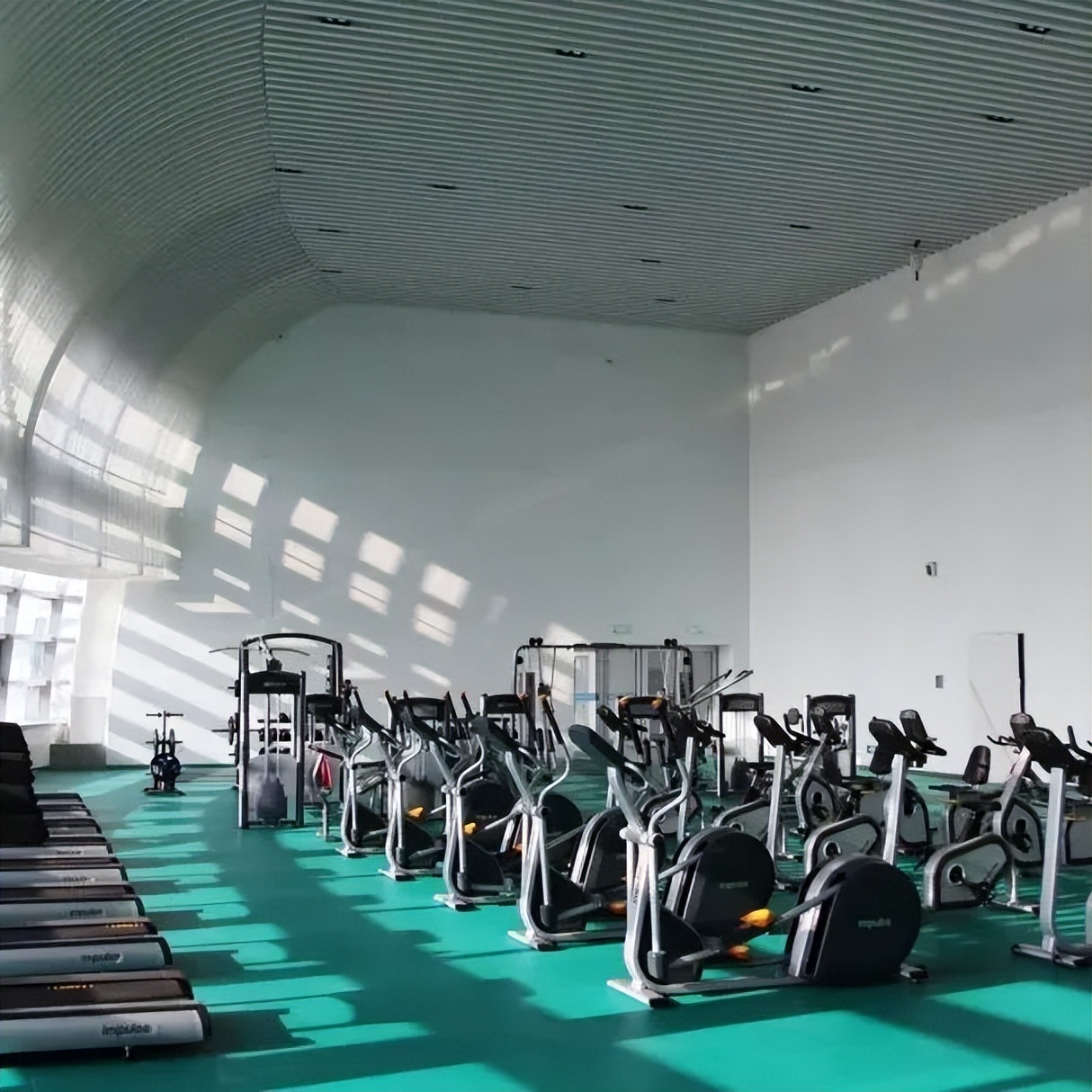 奥体中心收费价格表,东营市奥体中心对外开放公示