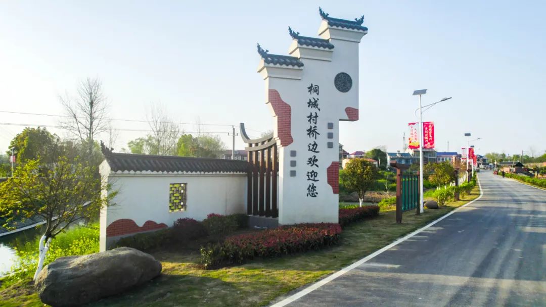 鄂州市泽林镇最新消息,鄂城区泽林镇泽林街