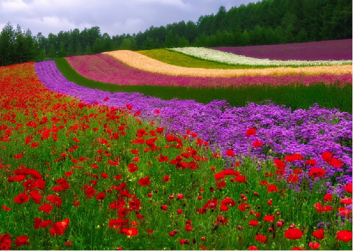 放假去哪里玩又便宜又好玩成都,假期去哪玩便宜又好玩儿成都