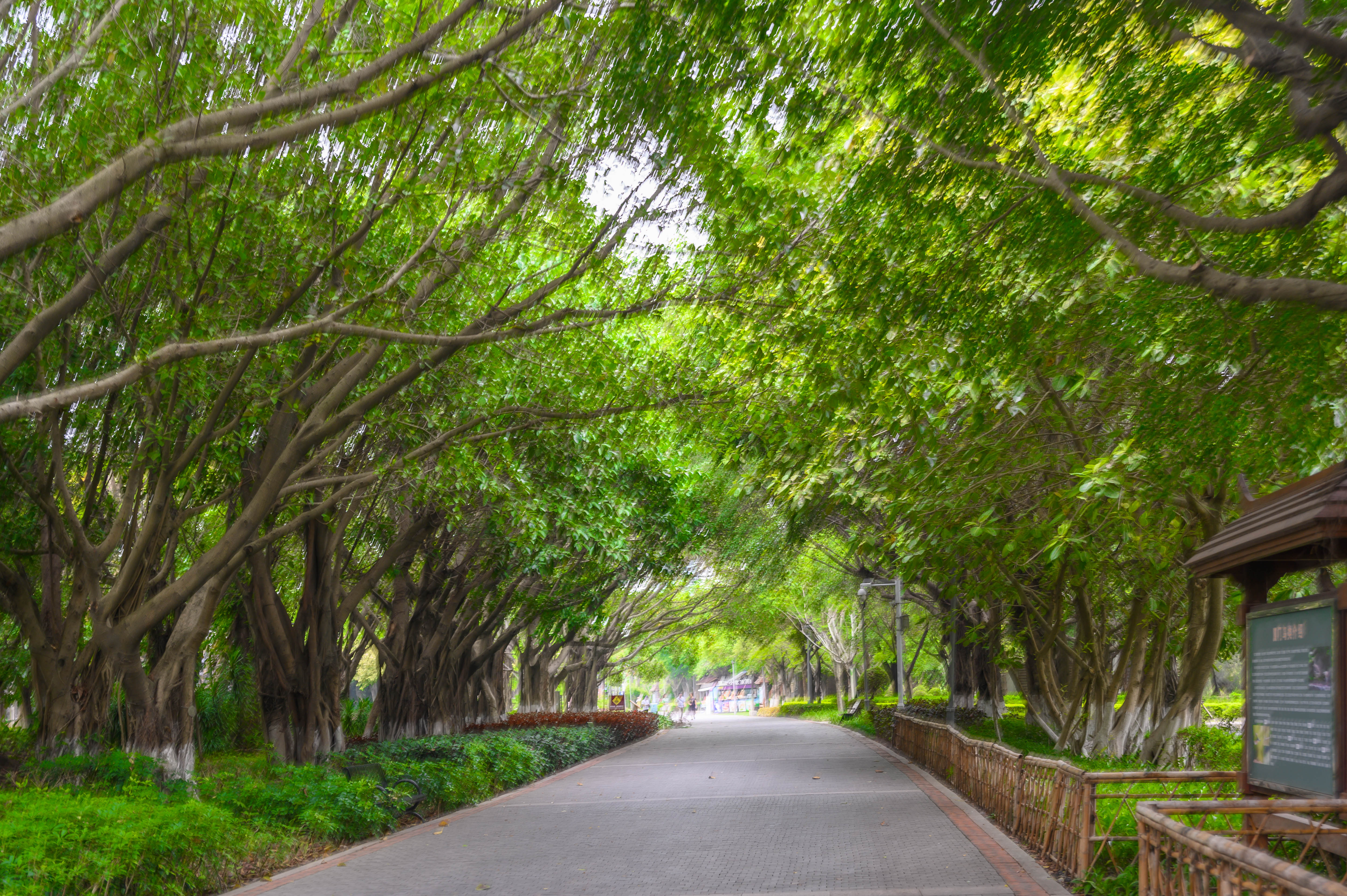 暑假去厦门鼓浪屿旅游攻略,厦门集美最适合带孩子去玩的地方