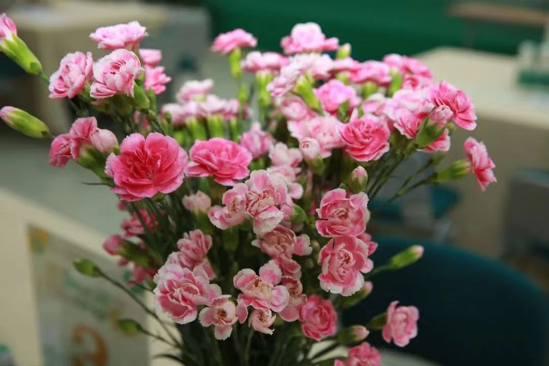 远东妇产月子餐,深圳远东妇儿医院月子餐