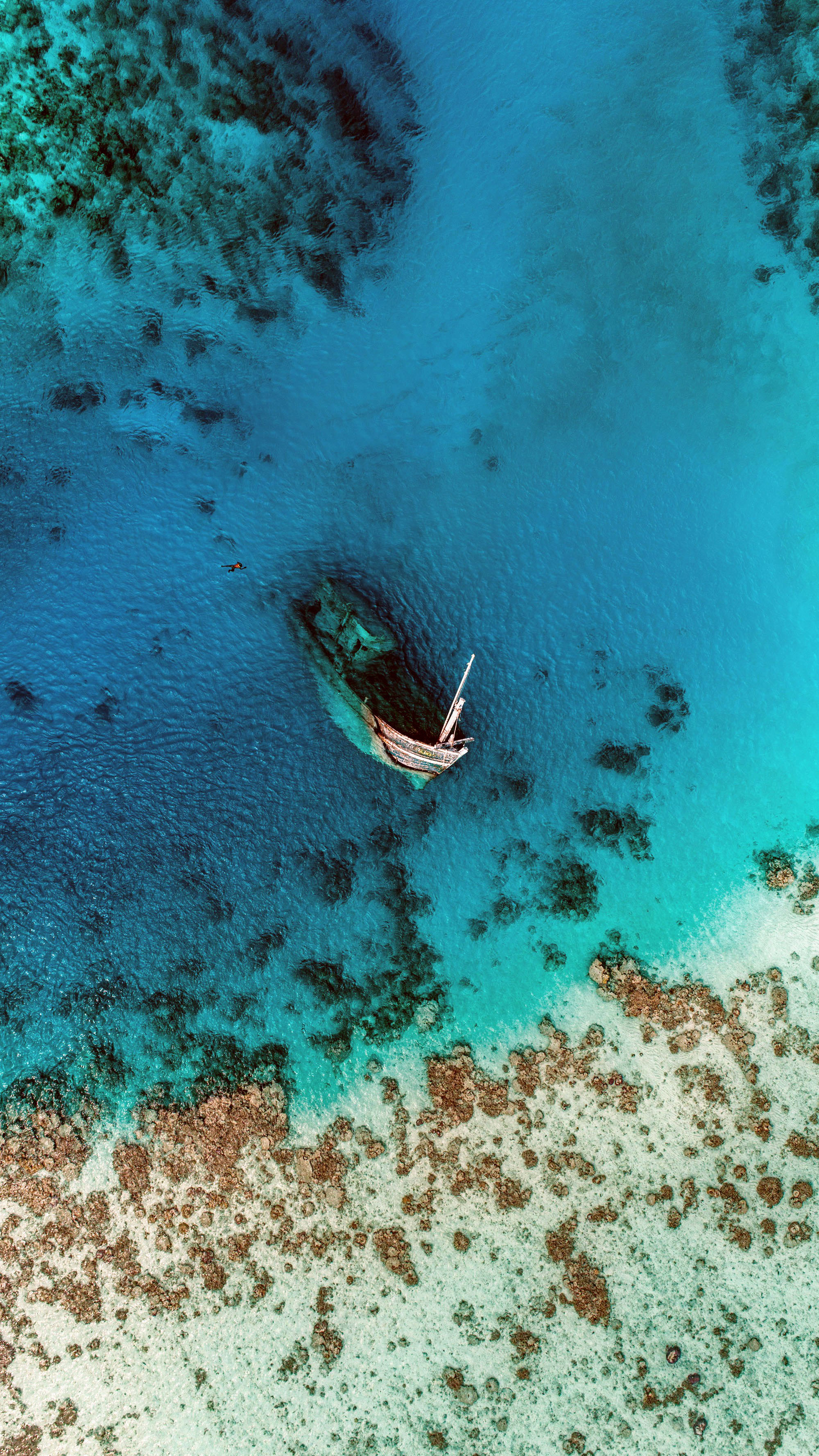 海洋主题壁纸,miui海洋超级壁纸