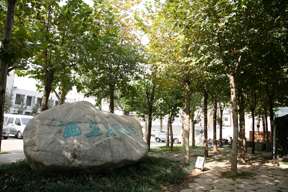 2022西安美术学院本科毕业生1619人，就业率为67.8%，升学率17.2%