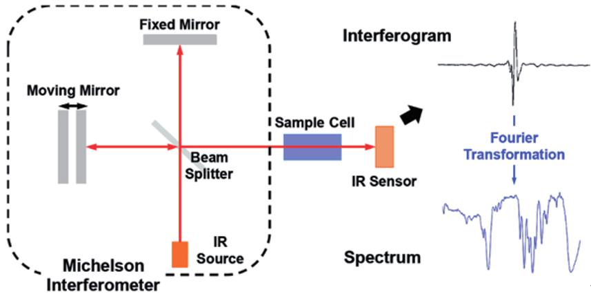 光谱探测细胞,科学家在人体中发现微塑料