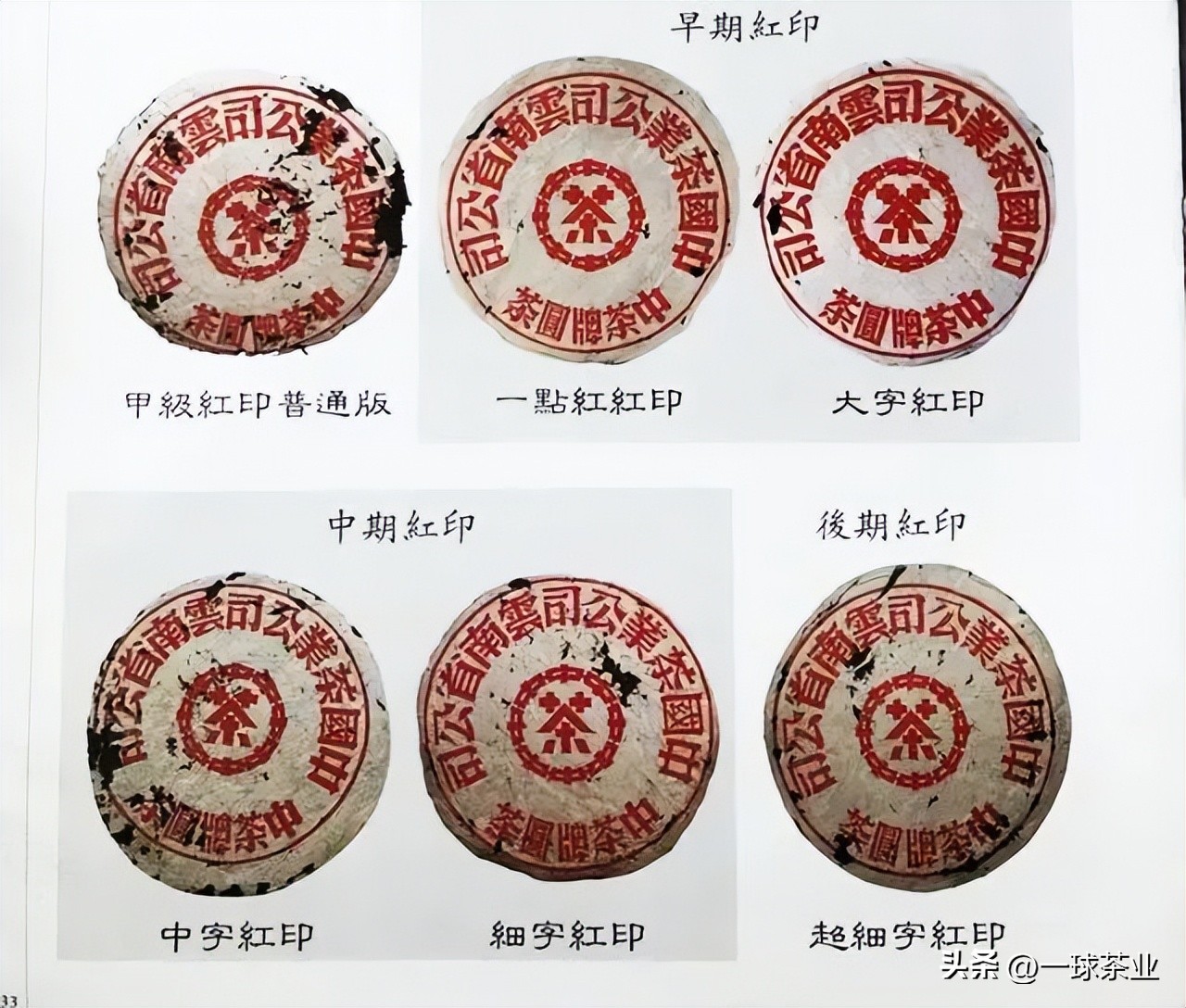 同庆号普洱茶黄印和红印的区别,普洱茶红印黄印绿印什么区别