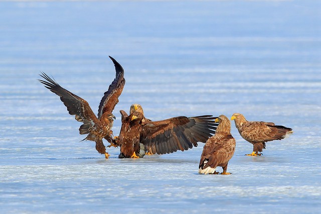 吉林通化十大景点,吉林十大最值得去景点排名