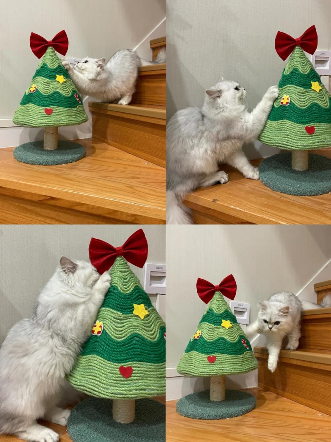 网购省钱的5个小绝招,网购学会这些省钱关键词