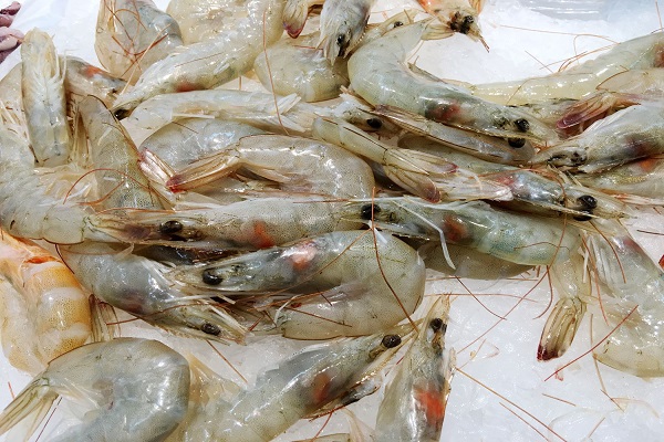 年龄大了多吃肉对身体好吗,年龄越大越要吃肉特别是这三种肉