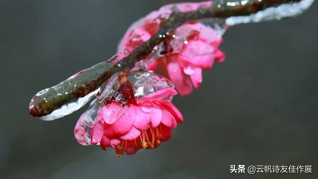 云帆诗会最新一期,云帆诗会完整版