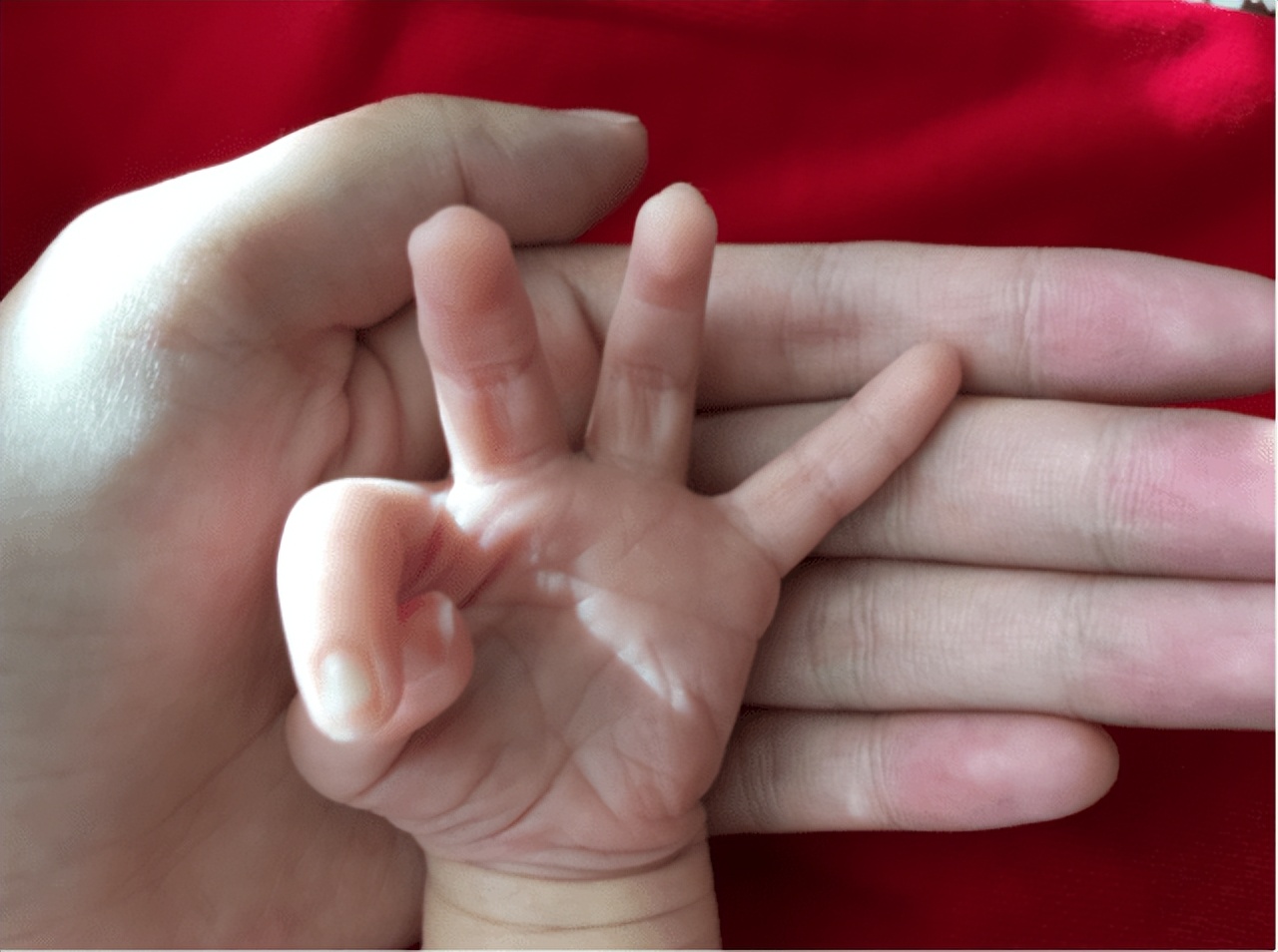 张嘉倪空壳太太,空壳太太