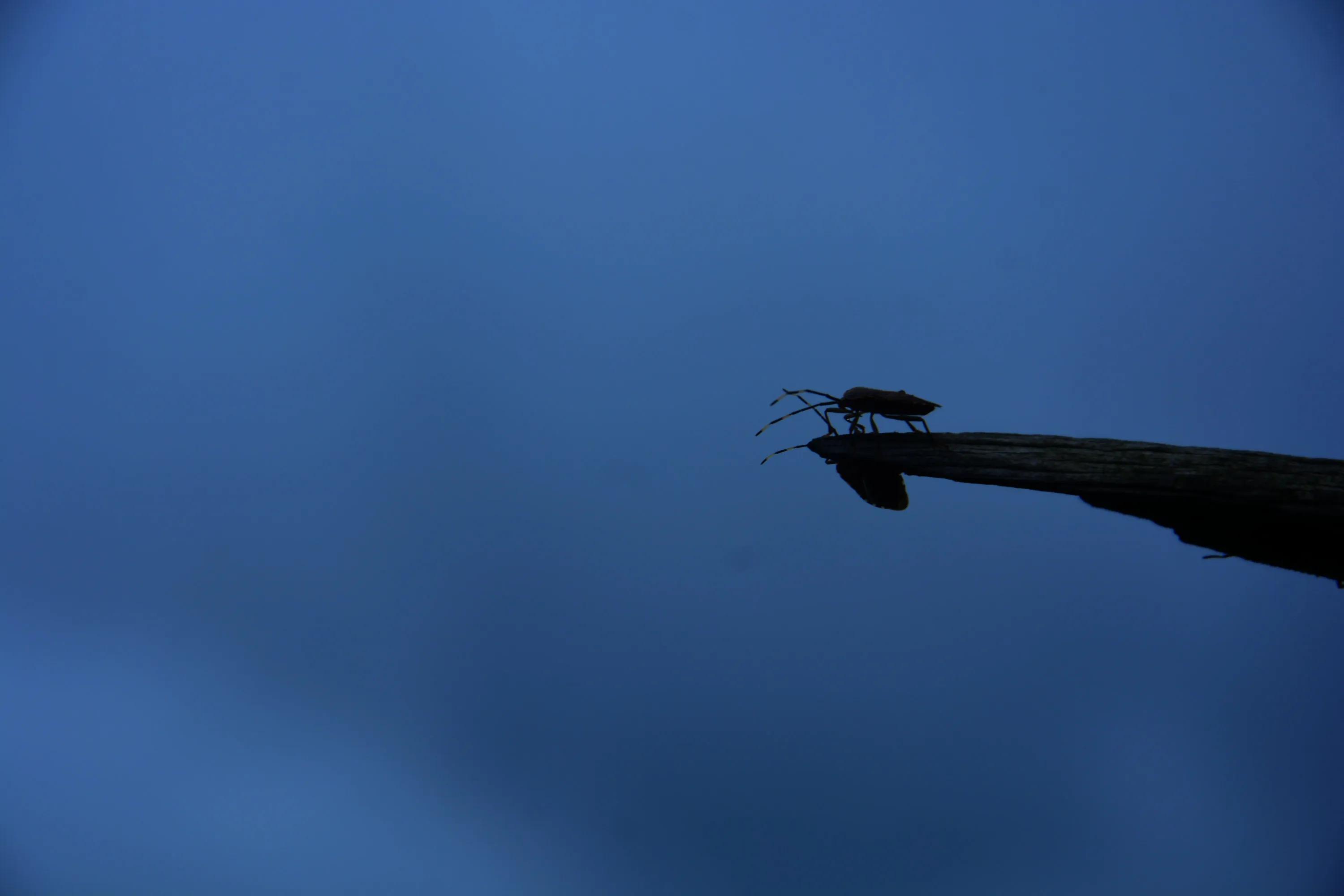 我的拍照秘诀话题,拍照心得